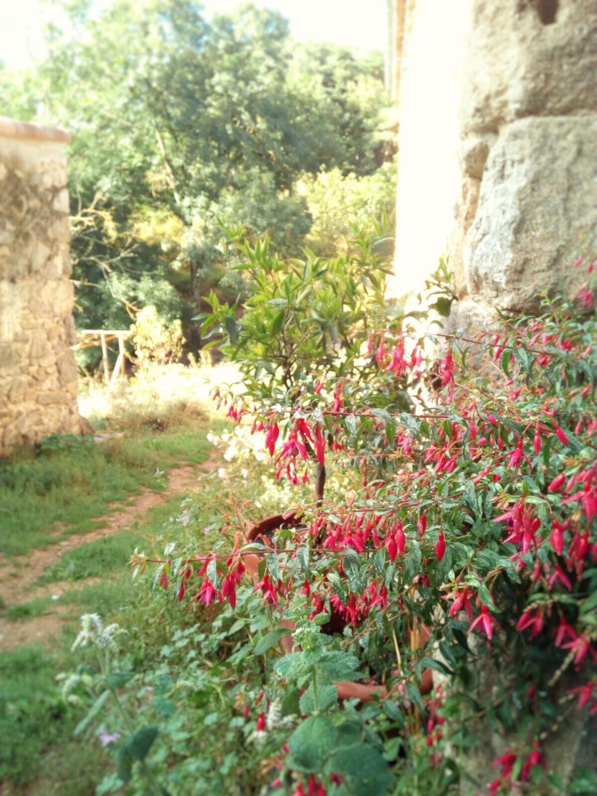 Saint-Péray Ferme De Samson 빌라 객실 사진